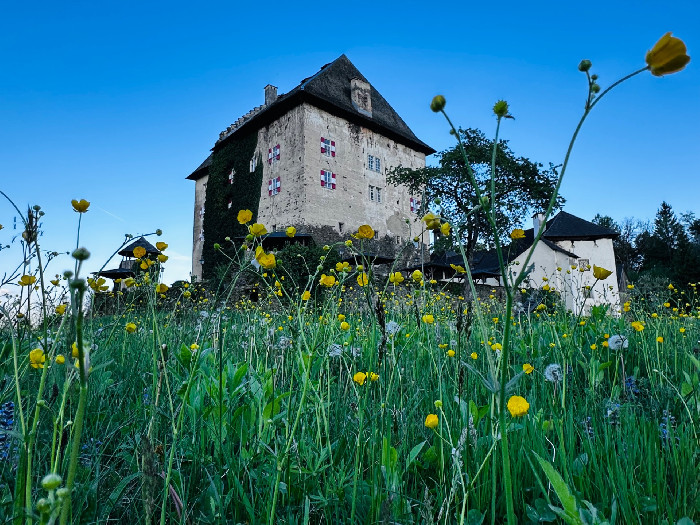 Copyright Schloss-moosburg.at (c) Schloss-moosburg.at